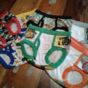 4T Toddler Boys Lion Guard Underpants